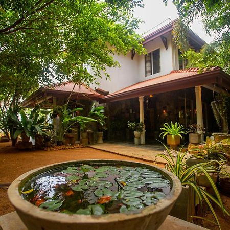 Evergreen Hotel Dambulla Extérieur photo