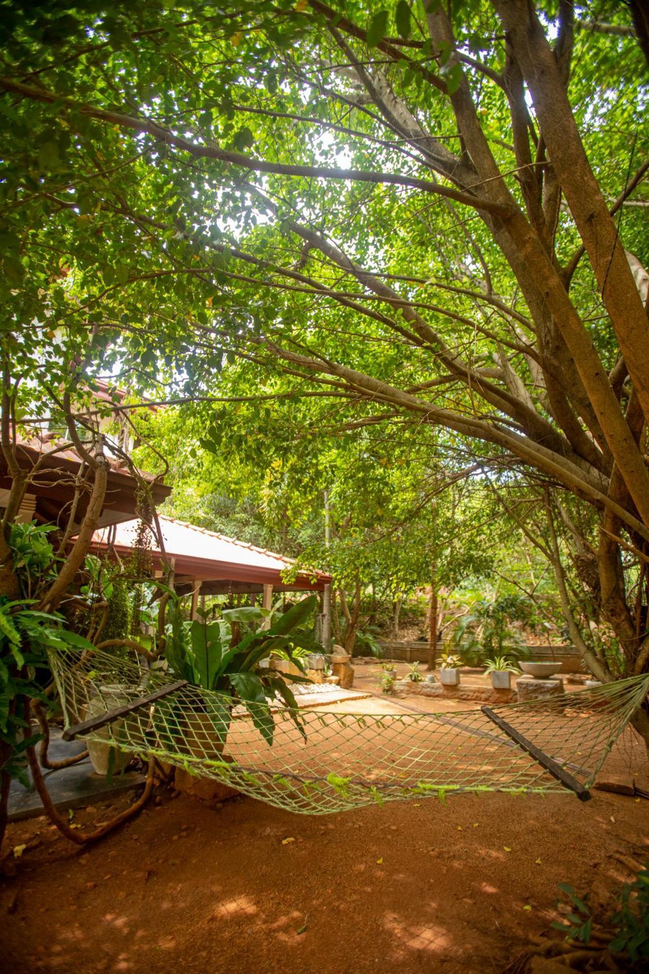 Evergreen Hotel Dambulla Extérieur photo