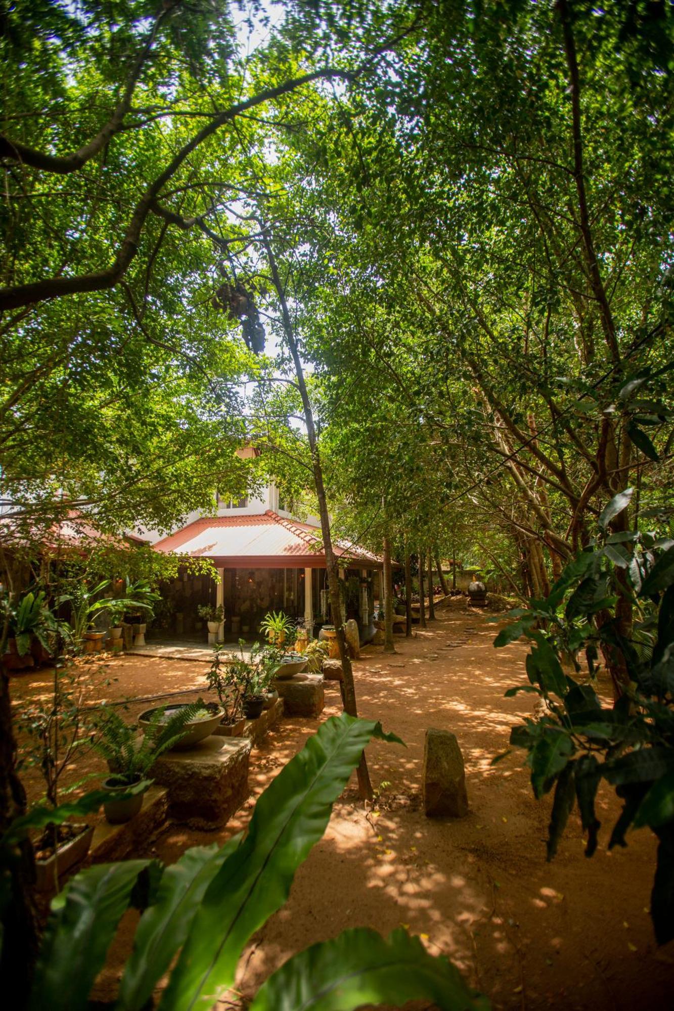 Evergreen Hotel Dambulla Extérieur photo